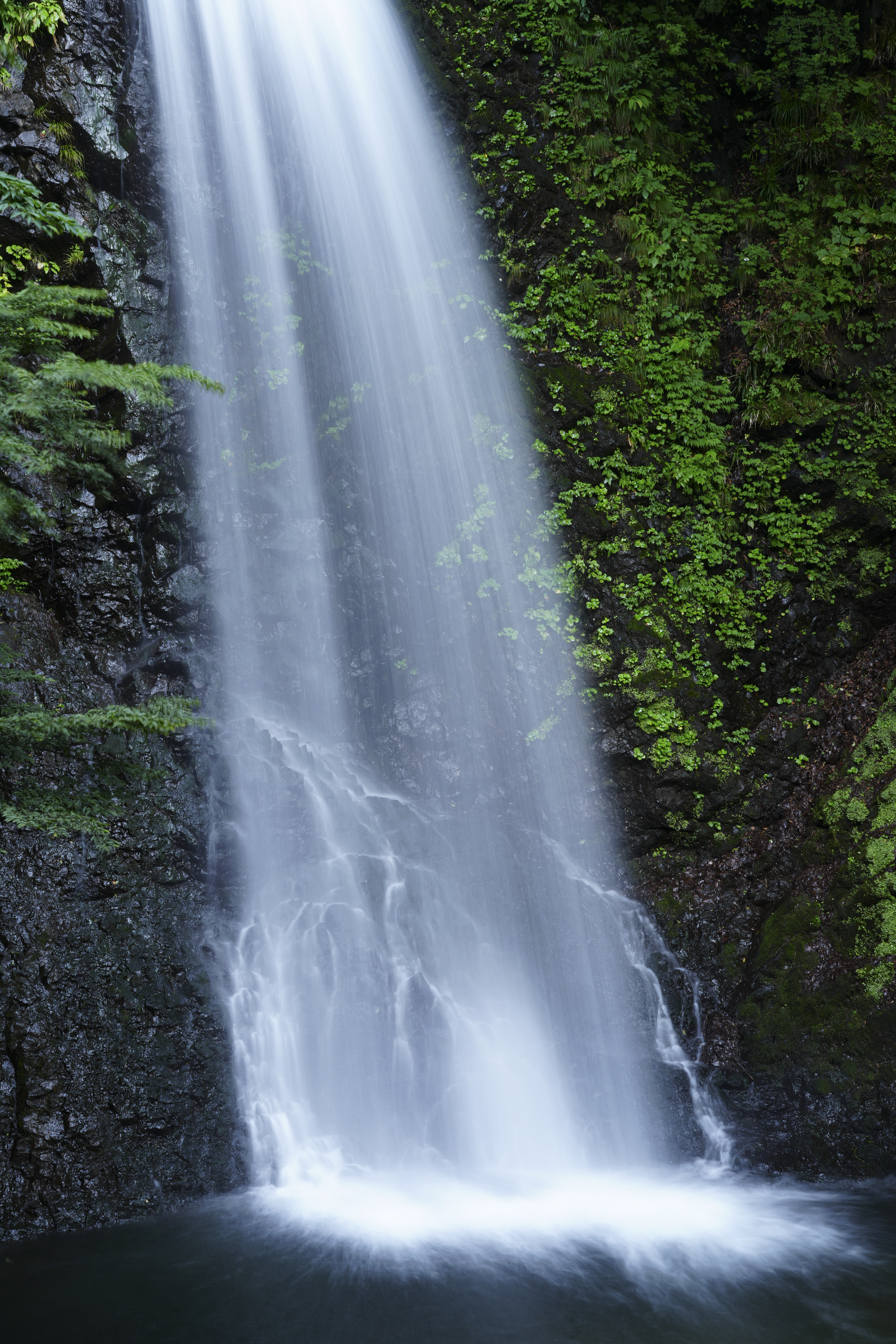 α7R V／FE 70-200mm F4 Macro G OSS II／70mm／絞り優先AE（1/160秒、F11、+0.3EV）／ISO 100