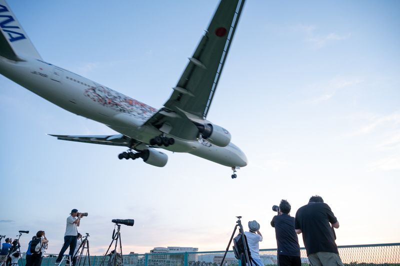 頭上を旅客機が飛んでいく