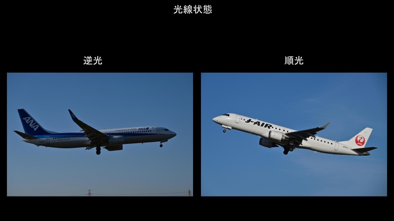 旅客機は順光が綺麗に見える