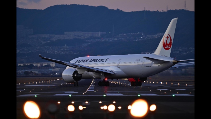 機体に夕陽が反射した例