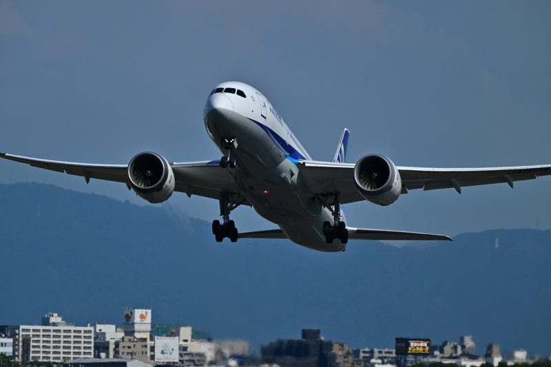 撮影：中野耕志さん<br>Z 8／NIKKOR Z 180-600mm f/5.6-6.3 VR／600mm／マニュアル露出（1/1,500秒、F6.7）／ISO 100