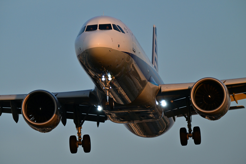 撮影：中野耕志さん<br>Z 8／NIKKOR Z 180-600mm f/5.6-6.3 VR／600mm／マニュアル露出（1/1,500秒、F6.7）／ISO 800