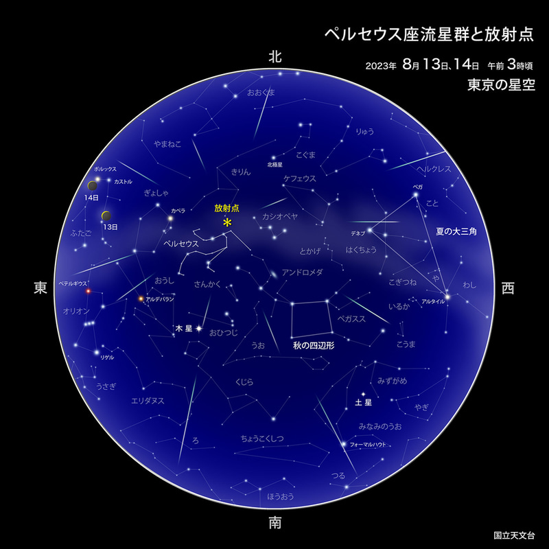 <a href="https://www.nao.ac.jp/astro/sky/2023/08-topics03.html">国立天文台のWebサイトより</a>より/8月13・14日3時頃の東京の星空