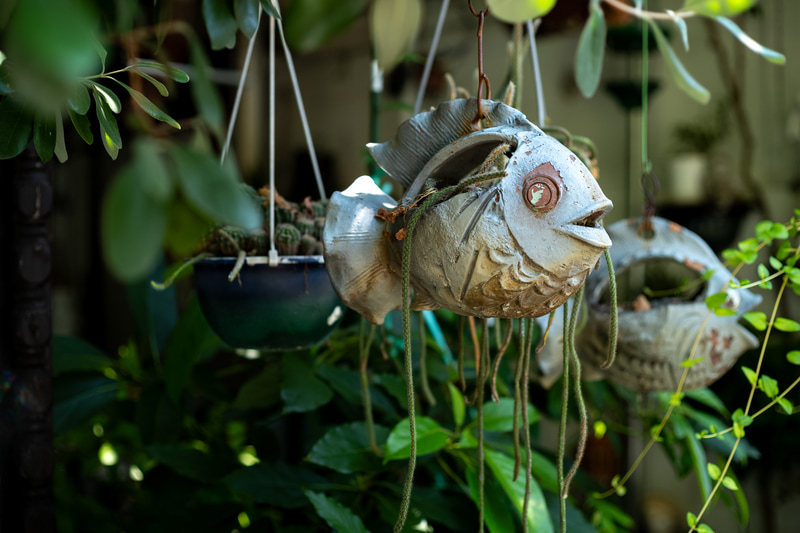 ライカスクリューマウントのニッコール5cm F2は長いこと使用していて、ゾナータイプらしい個性を楽しんでいますが、焦点移動の怪しさもあります。一眼レフ用のこちらはガウスタイプです。まさかライカに装着して使う日が来るとは。この条件では良好な描写です<br>ライカM10-P／Nikkor-HC Auto 50mm F2／絞り優先AE（F2・1/250秒）／ISO 400