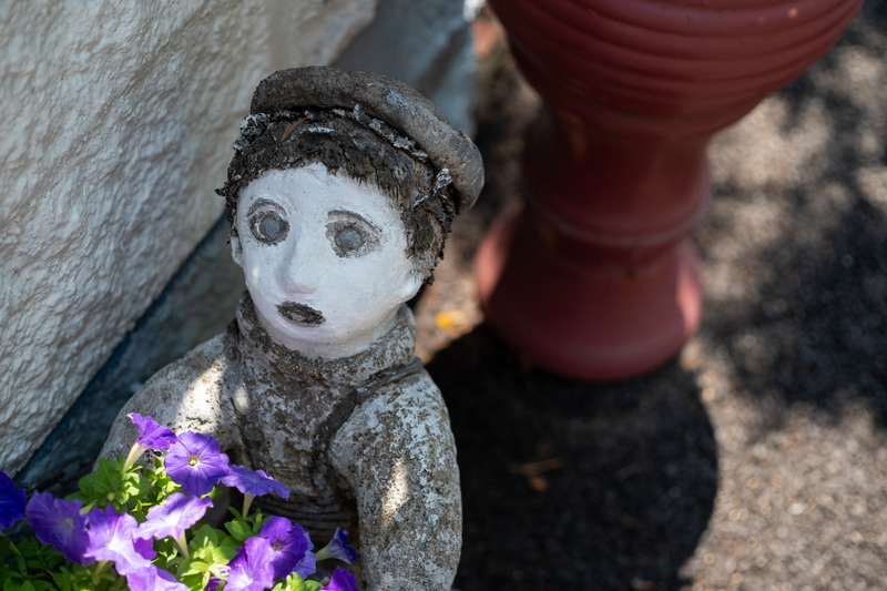 距離計に連動する最短距離0.7mでの描写です。もともと0.6mまでしか寄れませんので余裕ですね。ただ、背景のアスファルトのボケはあまり綺麗ではないかなあ<br>ライカM10-P／Nikkor-HC Auto 50mm F2／絞り優先AE（F2.8・1/1,500秒）／ISO 400