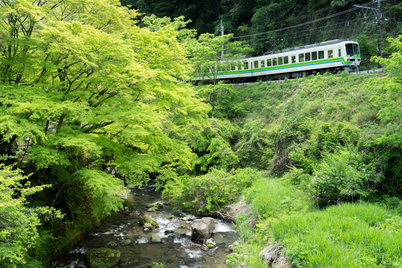 ソニーα1／FE 24-70mm F2.8 GM II／絞り優先オート（39mm・F4・1/320秒）／ISO 800／WB:太陽光