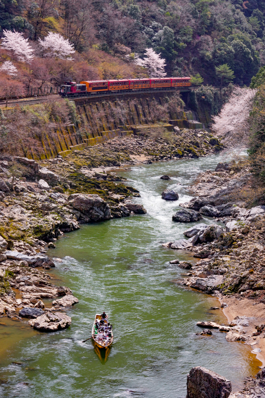 ソニーα1／FE 70-200mm F2.8 GM OSS／絞り優先オート（70mm・F8・1/800秒）／ISO 400／WB:曇天