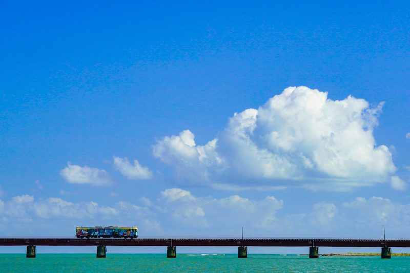 ソニーα9／FE 70-300mm F4.5-5.6 G OSS／絞り優先オート（106mm・F5.6・1/500秒）／ISO 800／WB:太陽光