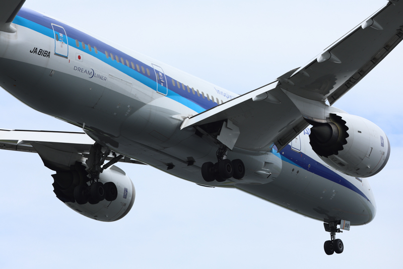 撮影：高橋学<br><span class="fnt-85">EOS R3／EF400mm F2.8L IS II USM／マニュアル露出（1/1,000秒、F8.0）／ISO 200</span>