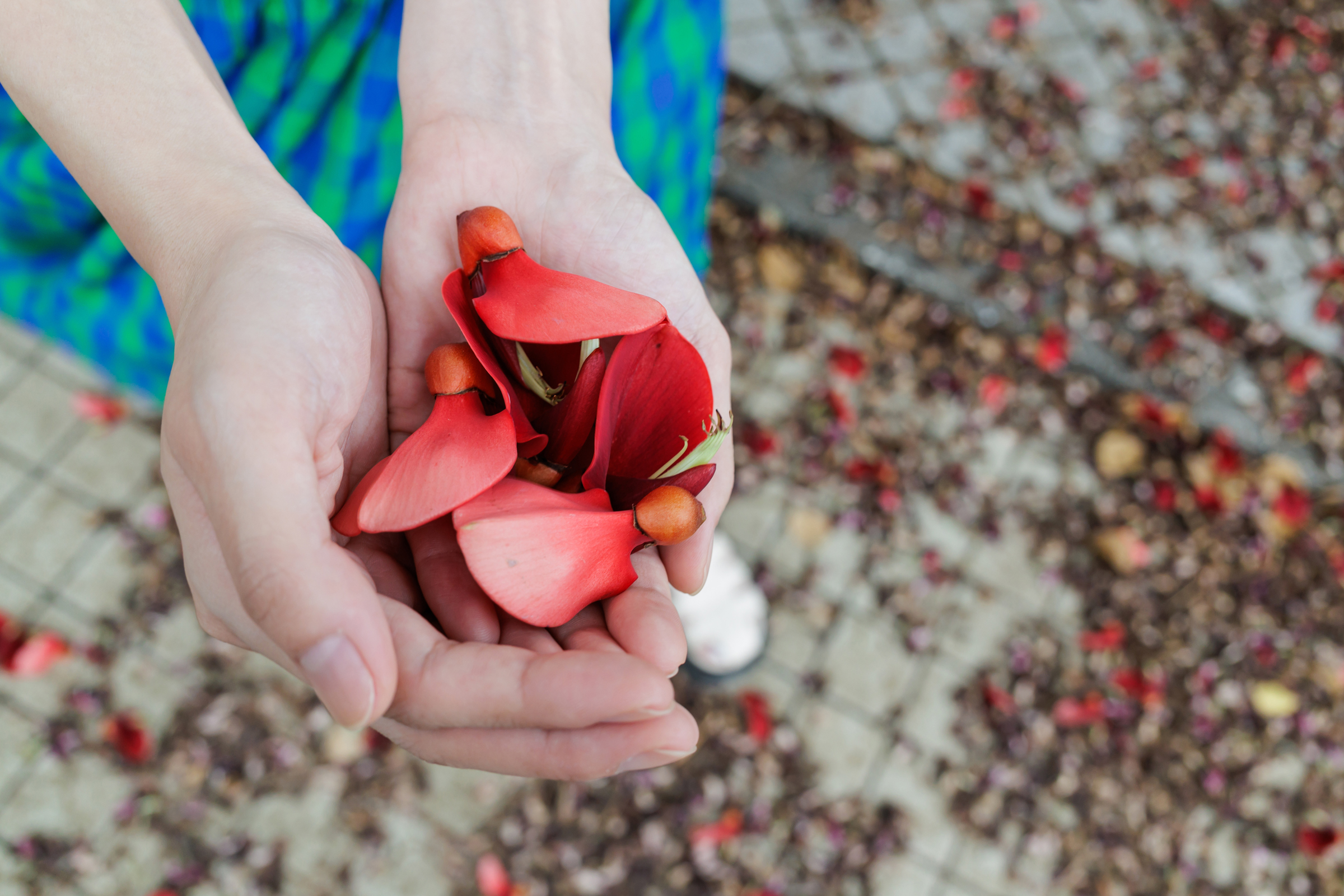 EOS R8／28mm／マニュアル露出（F5.6、1/60秒）／ISO 400／WB：オート