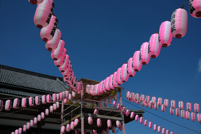 冬の晴れた青空じゃなくて、先日撮影したももの。ヌケがよくシャープなことに驚いています。アングルによってはかなりのワイドにも見えますね。実焦点距離が短いので少し絞っただけでもすぐにパンフォーカスになります。<br>FUJIFILM X100V／絞り優先AE（F8・1/2,400秒）／ISO 400／PROVIA