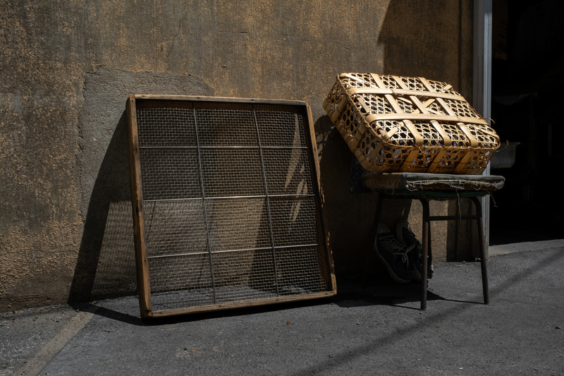 とても線が細くて素晴らしい画質です。シャドーの立ち上がる感じも良くて驚きます。<br>FUJIFILM X100V／絞り優先AE（F8・1/800秒）／ISO 400／PROVIA