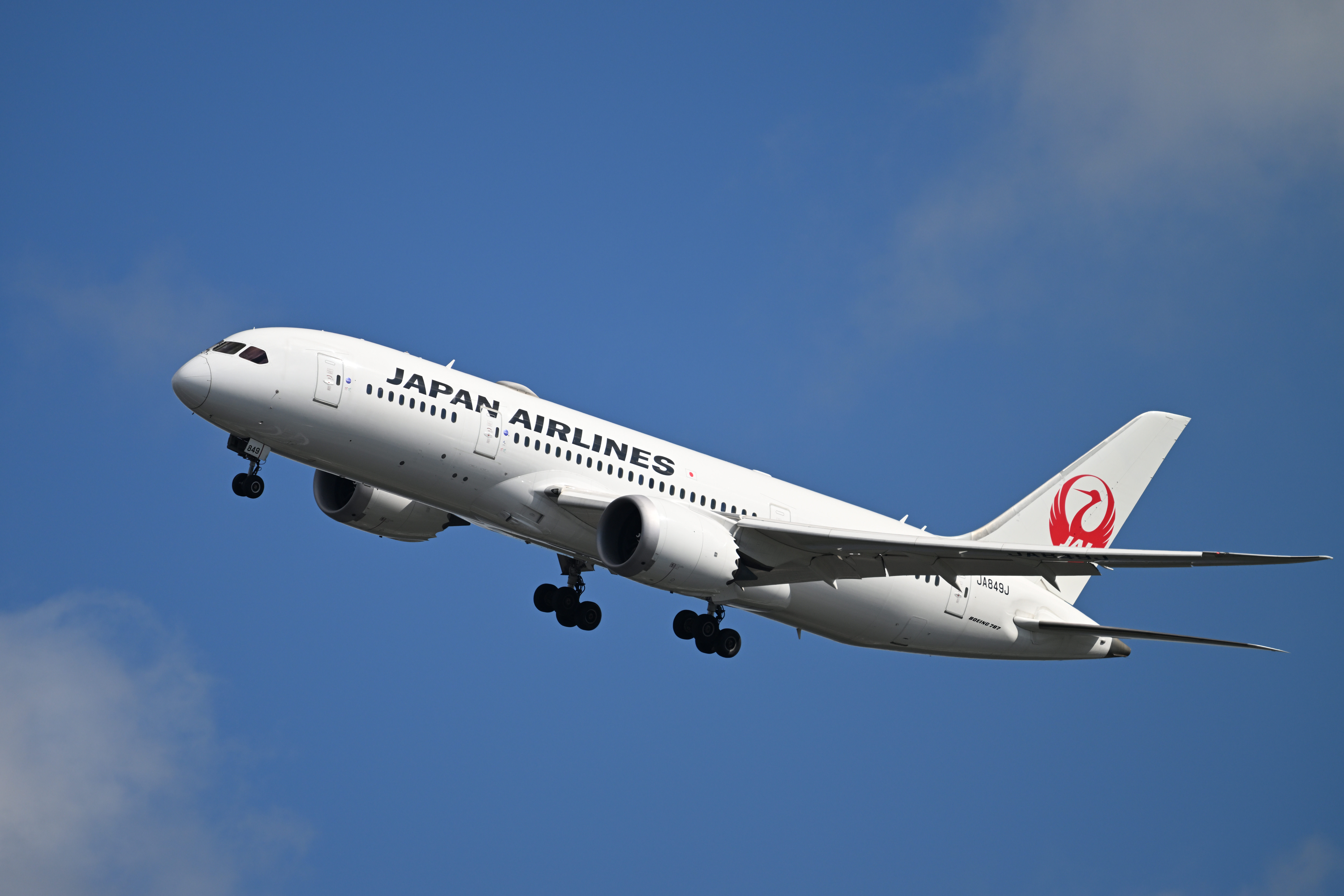 Z 8／NIKKOR Z 180-600mm f/5.6-6.3 VR／600mm／マニュアル露出（1/2,000秒、F6.3）／ISOオート（ISO  250）