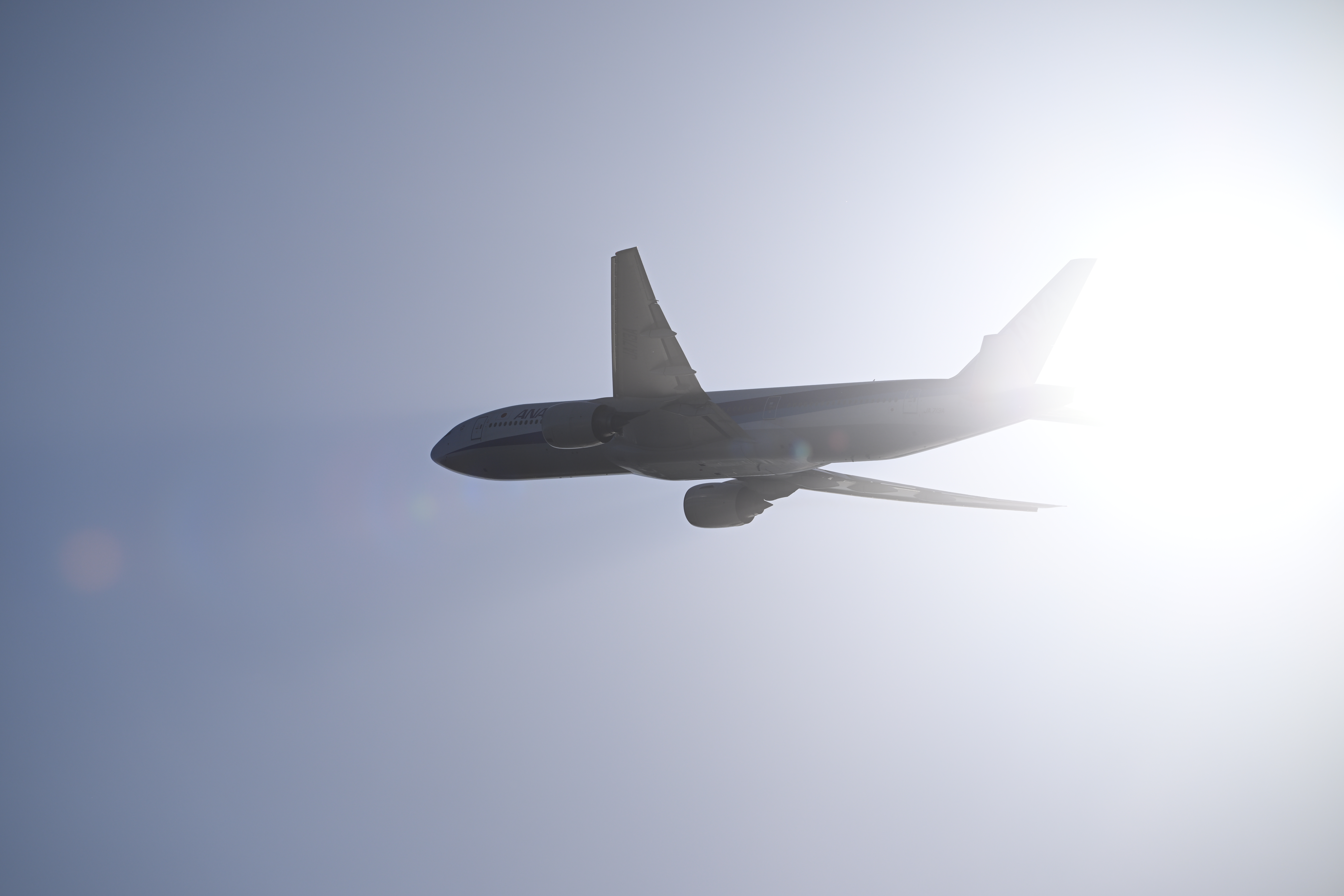 Z 8／NIKKOR Z 180-600mm f/5.6-6.3 VR／180mm／マニュアル露出（1/1,600秒、F6.3）／ISOオート（ISO 64）