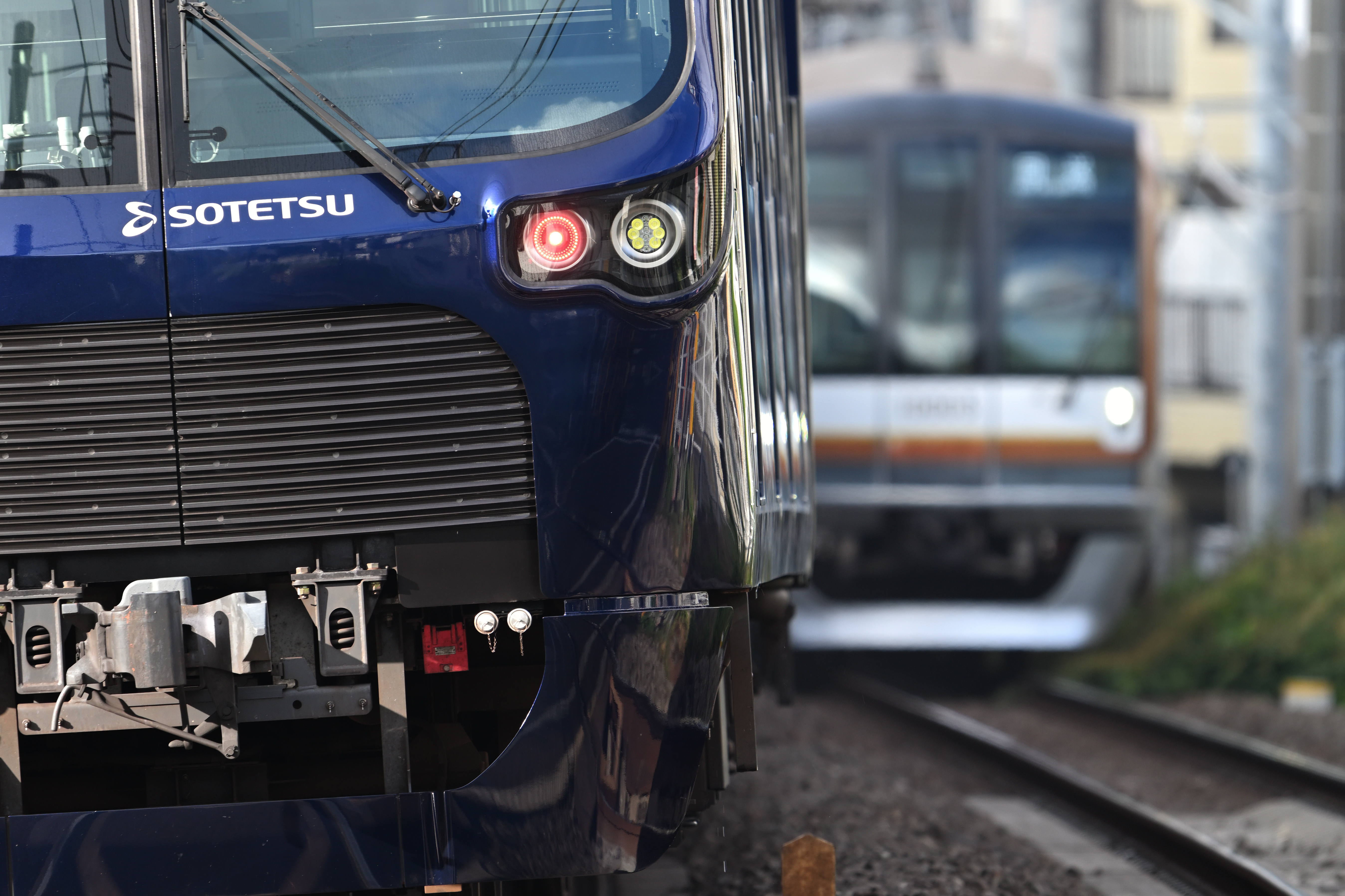 Z 8／NIKKOR Z 180-600mm f/5.6-6.3 VR／900mm（DXクロップ）／マニュアル露出（1/125秒、F6.3）／ISOオート（ISO 400）