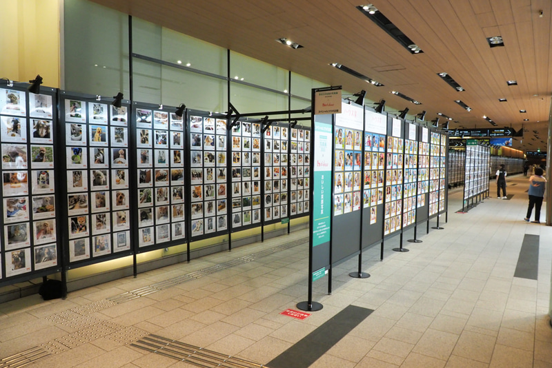 第3会場の様子。長い通路の壁を作品が埋め尽くす