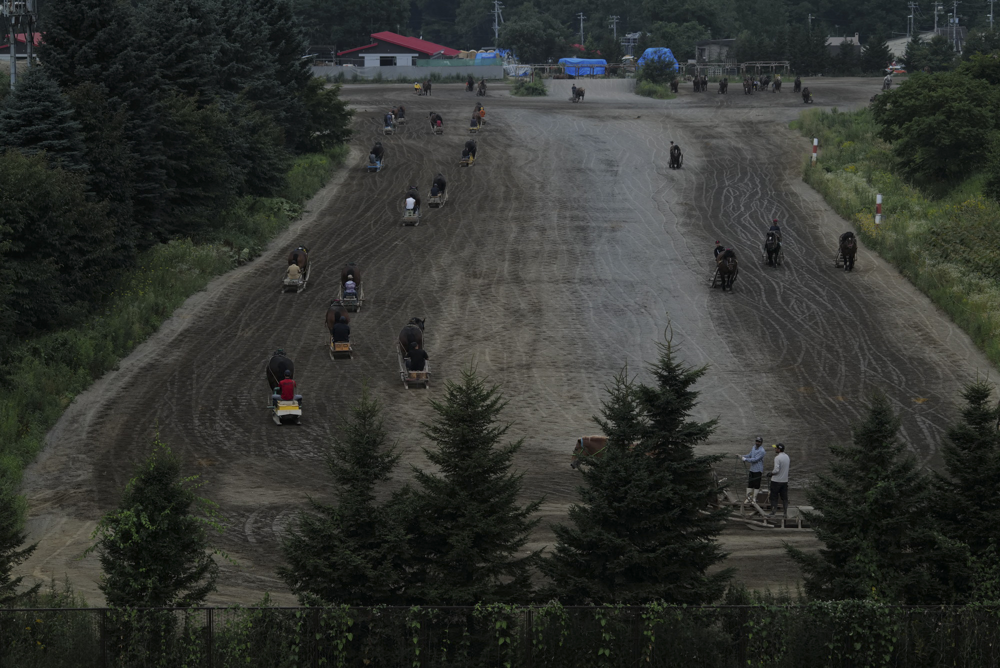 新しい撮影場所と視点を得た。撮り続けているからこそ大きな収穫だと感じる<br>ライカSL2／シグマ 60-600mm F4.5-6.3 DG DN OS | Sports 023／絞り優先AE（F5.2、1/1,600秒、−1.6EV）／ISO 800