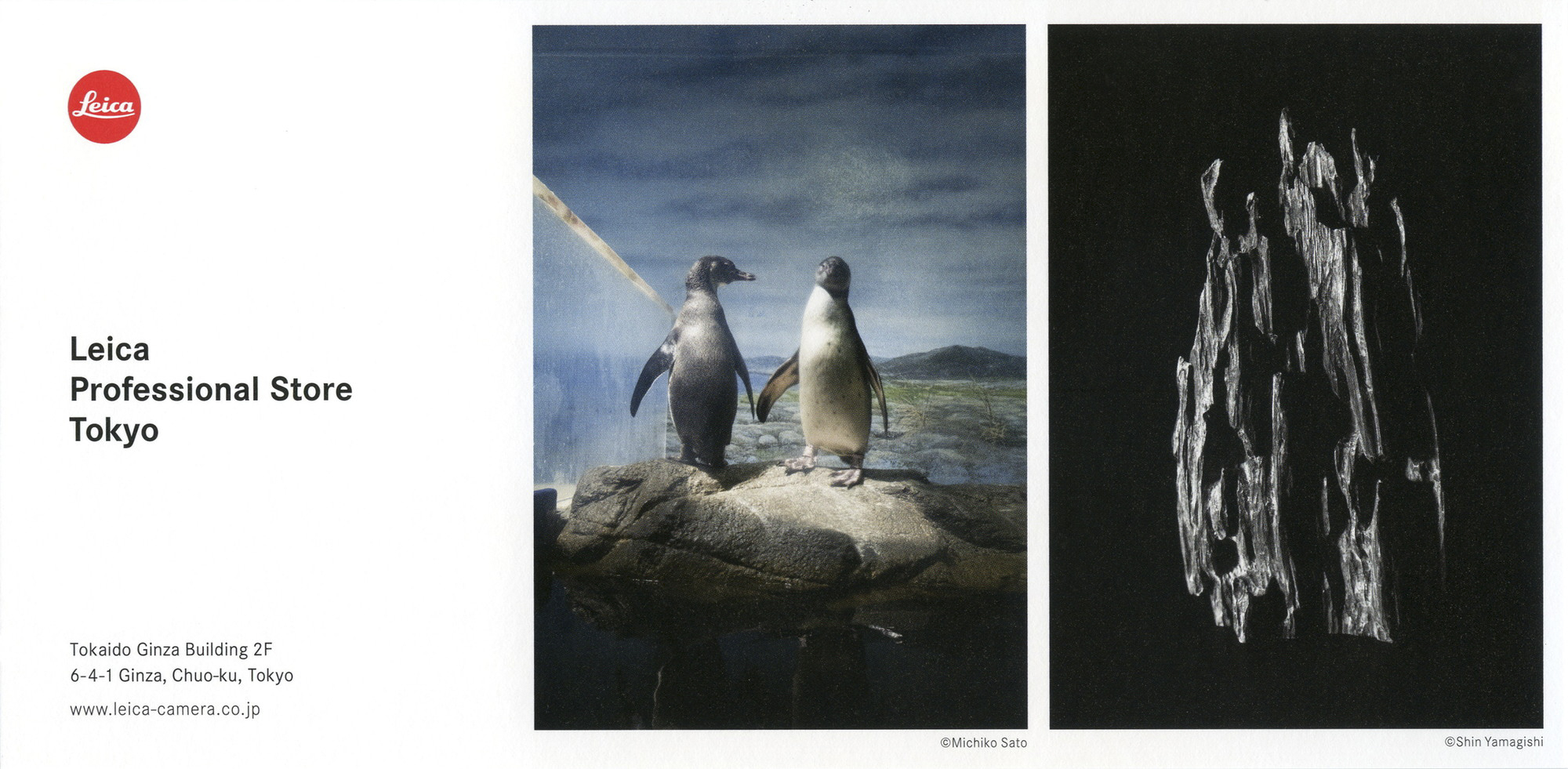 山岸 伸・佐藤倫子 二人展「伸 ✕ YAMAGISHI ✕ 倫子」ライカギャラリー東京およびライカプロフェッショナルストア東京にて（2022年）
