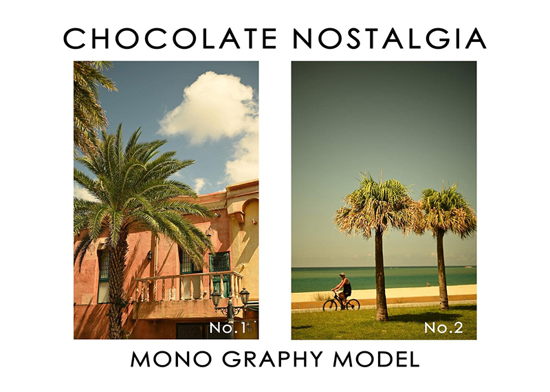 No.1とNo.2の比較画像