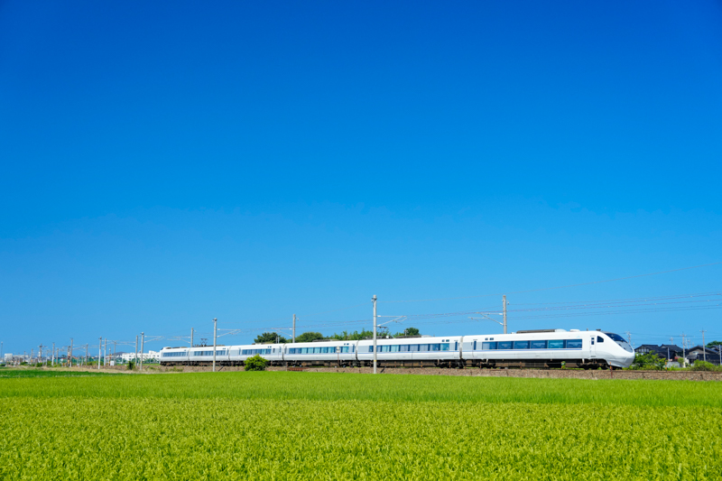 ソニーα1／FE 24-70mm F2.8 GM／絞り優先オート（43mm・F4・1/2,500秒）／ISO 800／WB:太陽光