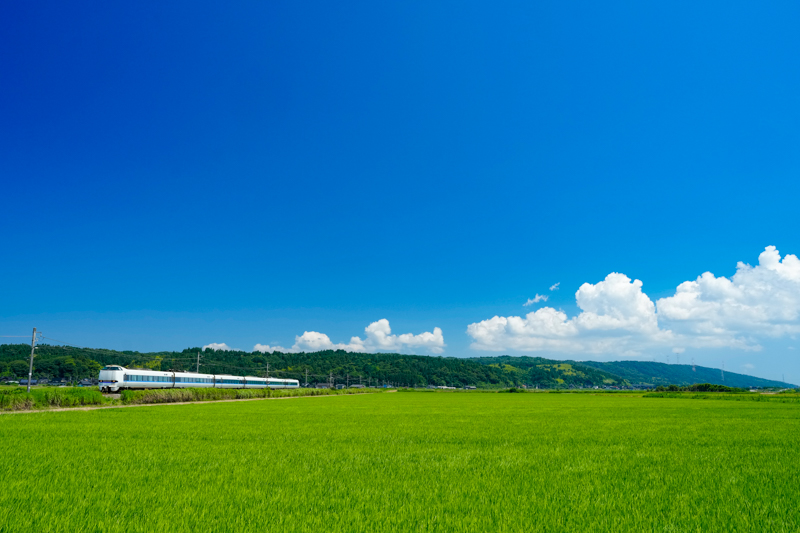 ソニーα1／FE 24-70mm F2.8 GM／絞り優先オート（30mm・F7.1・1/1,000秒）／ISO 800／WB:太陽光