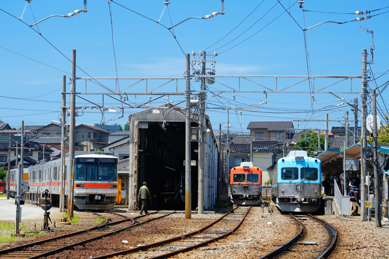 ソニーα1／FE 70-200mm F2.8 GM OSS II／絞り優先オート（89mm・F5.6・1/1,250秒）／ISO 800／WB:太陽光