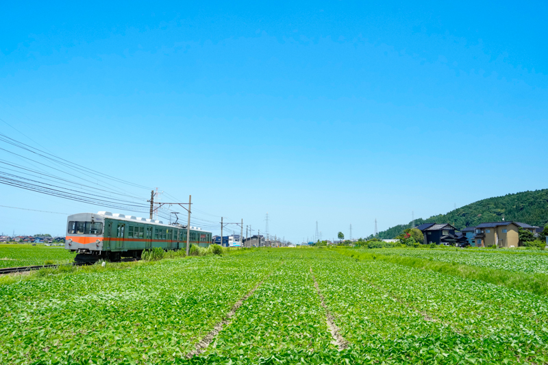 ソニーα1／FE 24-70mm F2.8 GM／絞り優先オート（26mm・F8・1/1,250秒）／ISO 1600／WB:太陽光