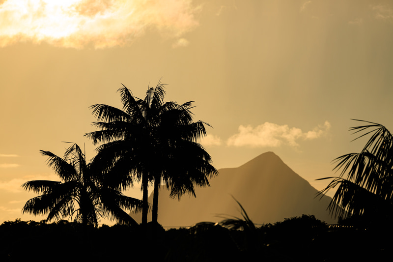 夕方に逆光で撮影することで手前のヤシの木をシルエットで表現した。逆光のため空が白飛びしてしまう可能性もある場面だが、EOS R8の広いダイナミックレンジによって階調もしっかりと残っている<br><span class="fnt-85">EOS R8／RF70-200mm F4 L IS USM／200mm／絞り優先AE（F5.6、1/3,200秒、±0EV）／ISO 100／WB：オート</span>