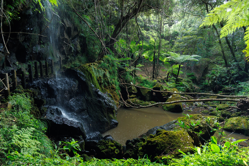 <span class="fnt-85">EOS R8／RF24-105mm F4 L IS USM／24mm／絞り優先AE（F5、1/40秒、－0.7EV）／ISO 3200／WB：オート</span>