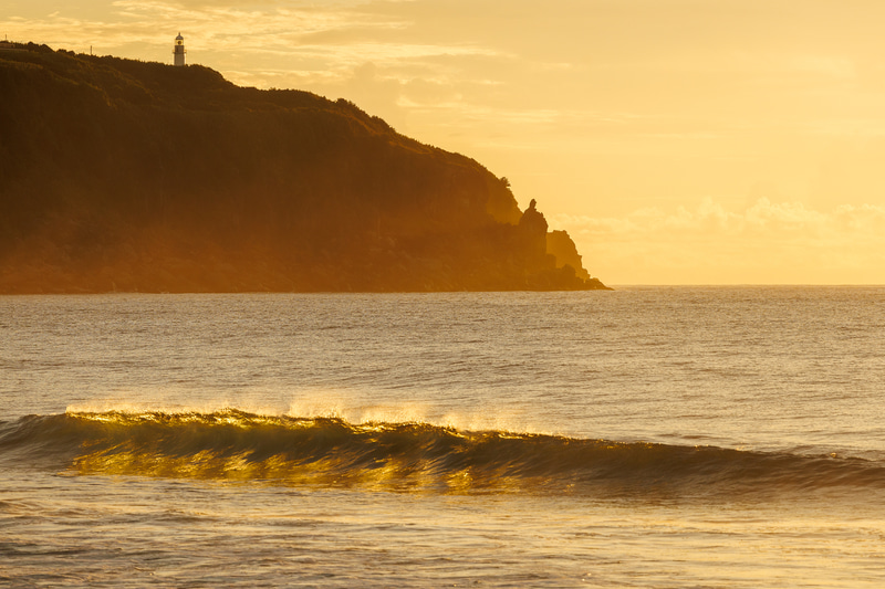 <span class="fnt-85">EOS R8／RF70-200mm F4 L IS USM／200mm／絞り優先AE（F8、1/1,600秒、±0EV）／ISO 500／WB：オート</span>