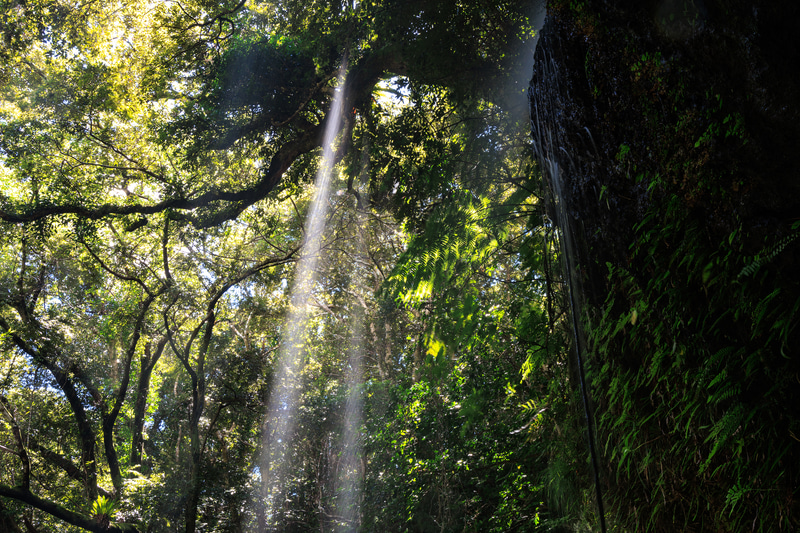 裏見ヶ滝は日中になると太陽の光が滝に差し込み、幻想的な景色を演出してくれる。微妙な明暗の差も実にリアルに再現され、階調の豊かさと描写力が写真から伝わってくる<br><span class="fnt-85">EOS R8／RF24-105mm F4 L IS USM／39mm／絞り優先AE（F14、5秒、±0EV）／ISO 100／WB：オート</span>
