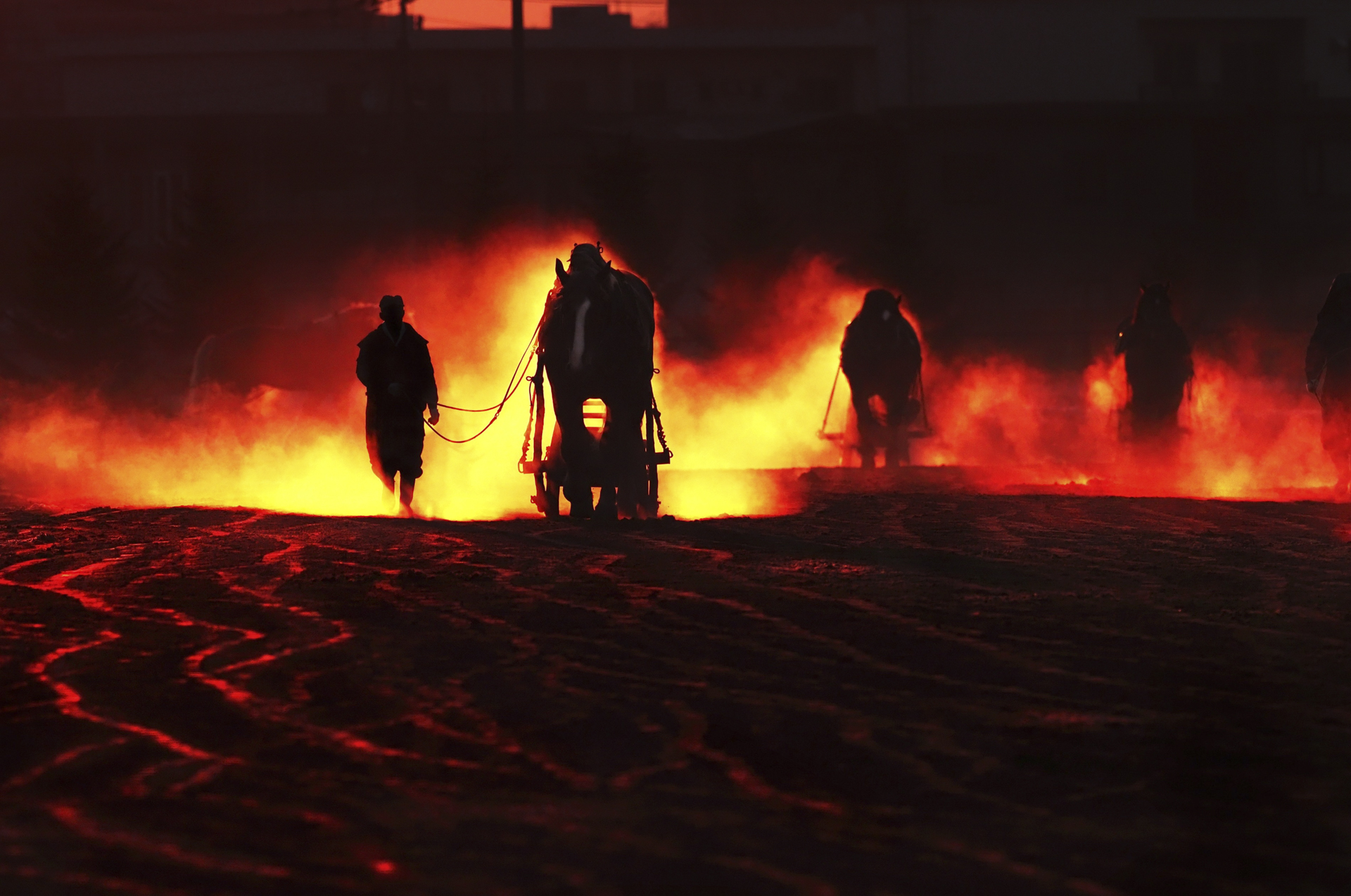 ばんえい競馬 朝調教