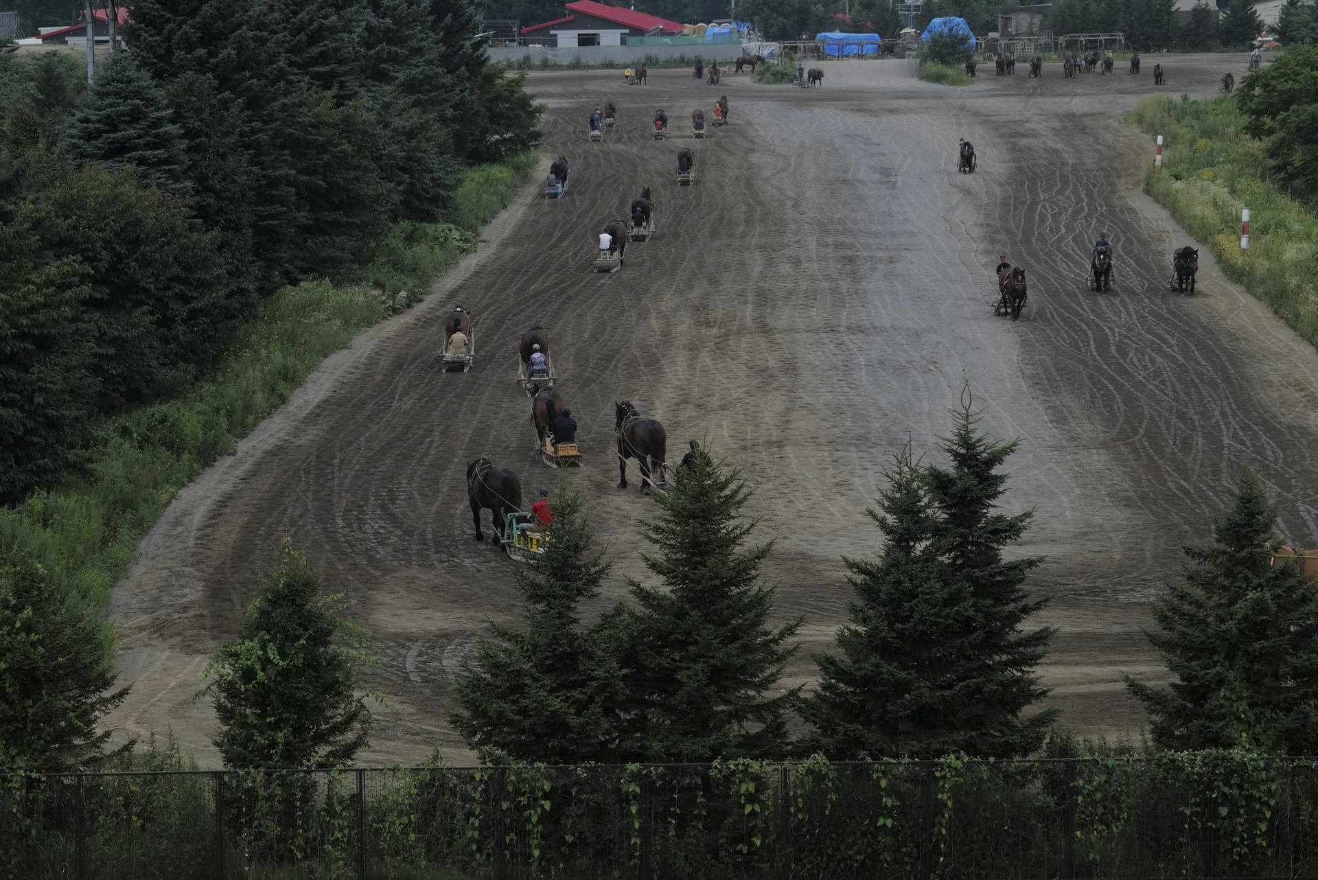 ライカSL2／SIGMA 60-600mm F4.5-6.3 DG DN OS｜Sports 023／絞り優先AE（F5.2、1/1,250秒、−1.3EV）／ISO 800