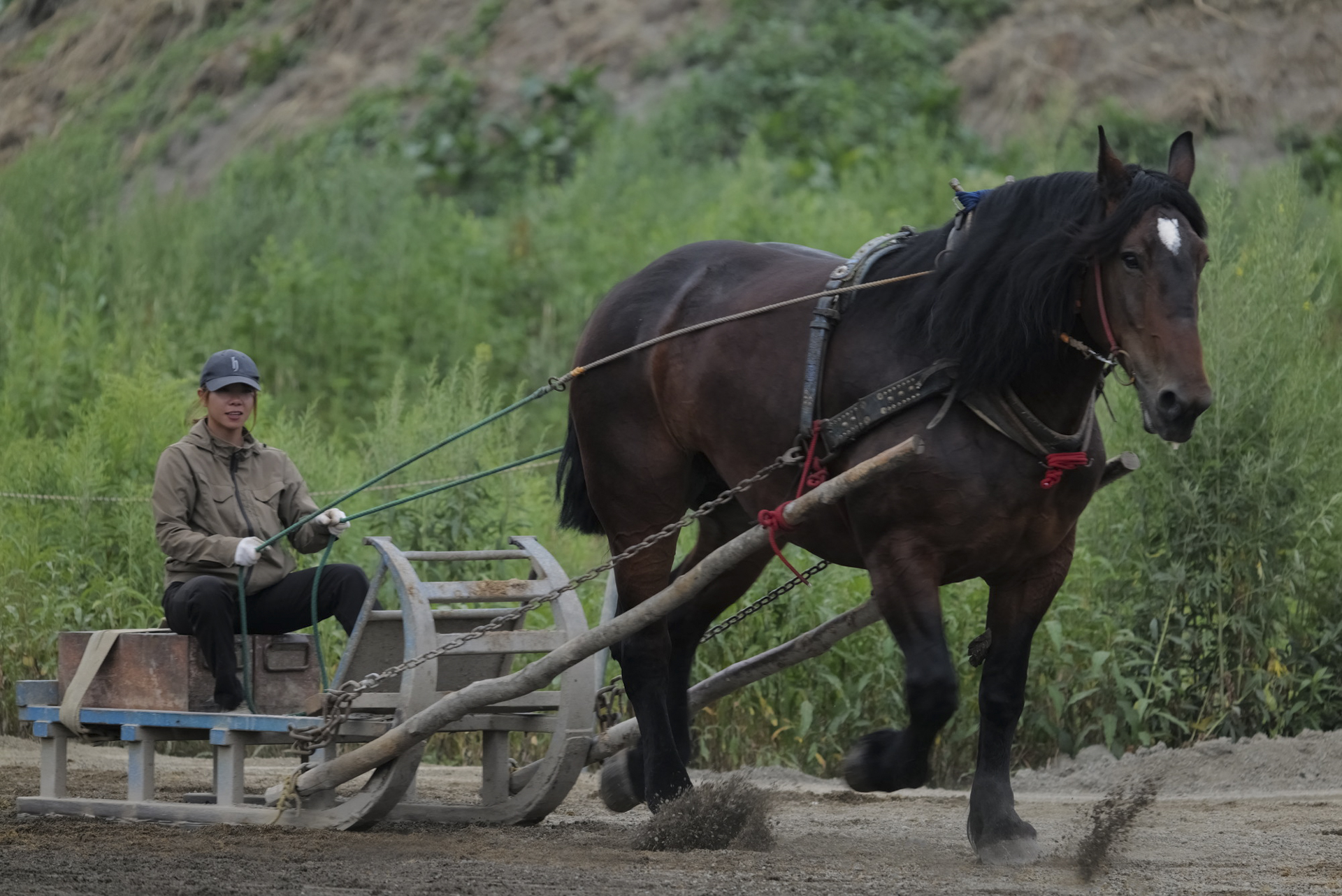 朝調教での一コマ