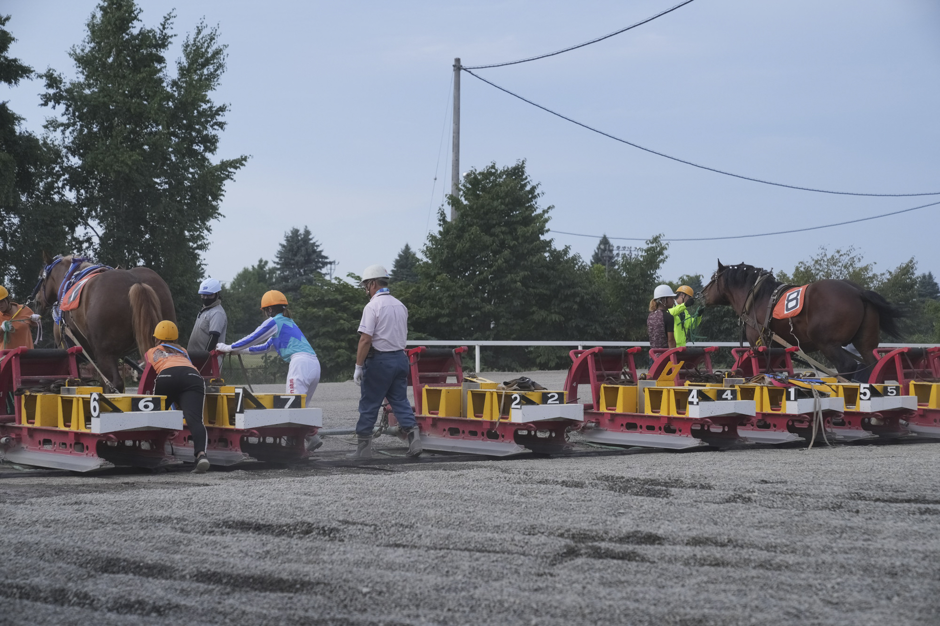 走り終わった馬からソリを外しトロッコに乗せる。ソリはまたトロッコでスタート地点へ運ばれる