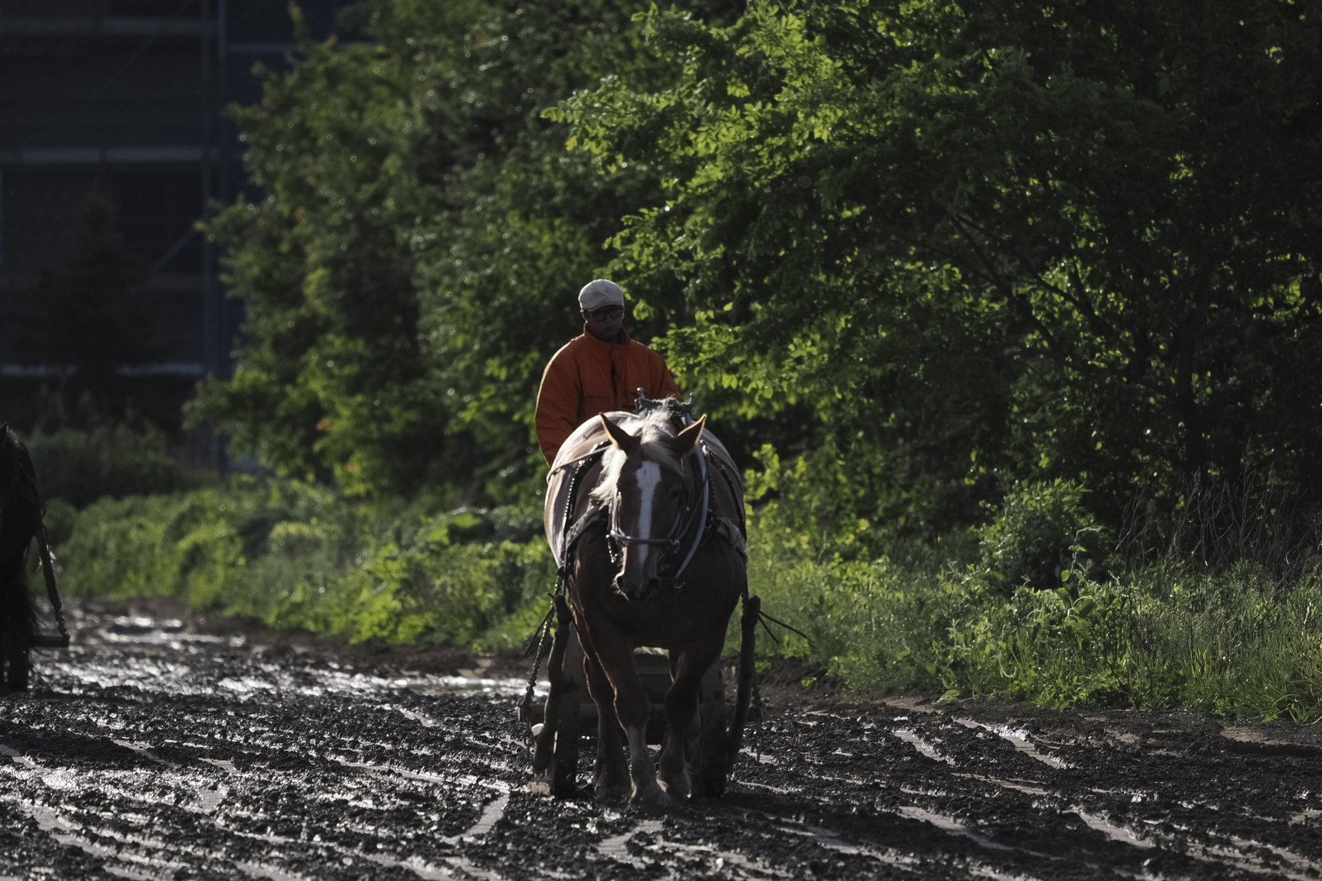 [キャプション] OM-SYSTEM OM-1／M.ZUIKO DIGITAL ED 150-400mm F4.5 TC1.25x IS PRO／絞り優先AE（F4.5、1/5,000秒、－1.7EV）／ISO 800