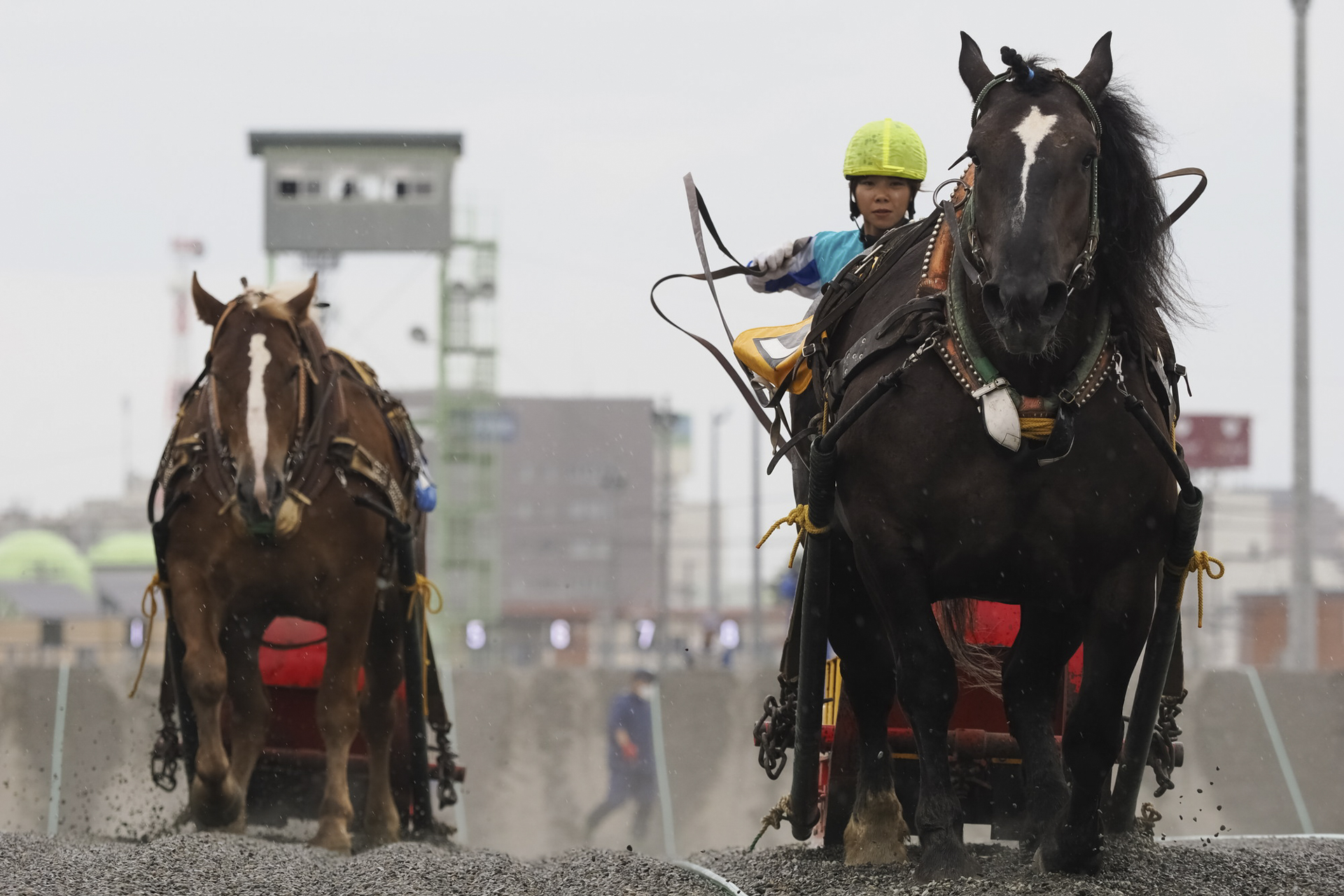 <span class="fnt-85">OM-SYSTEM OM-1／M.ZUIKO DIGITAL ED 40-150mm F2.8 PRO／絞り優先AE（F4、1/1,000秒、−0.3EV）／ISO 500</span>