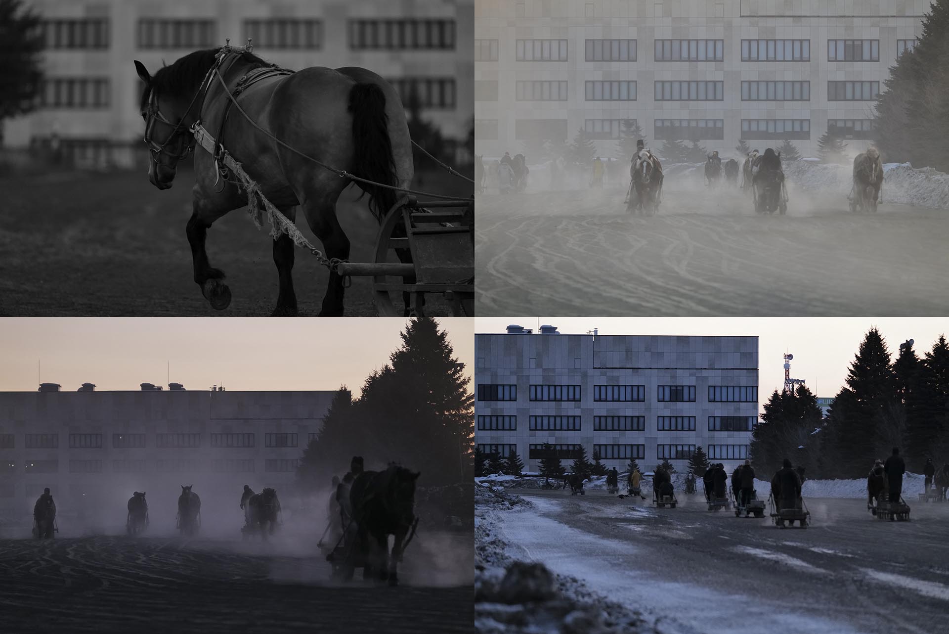 <span class="fnt-85">全てライカSL2／シグマ 60-600mm F4.5-6.3 DG DN OS｜Sports 023／絞り優先AE<br>（左上）F6.1、1/400秒、−2.0EV／ISO 3200 （右上）F5.8、1/200秒、±0.0EV／ISO 800 （左下）F5.5、1/320秒、−1.0EV／ISO 3200（右下）F5.6、1/640秒、−0.6EV／ISO 3200</span>