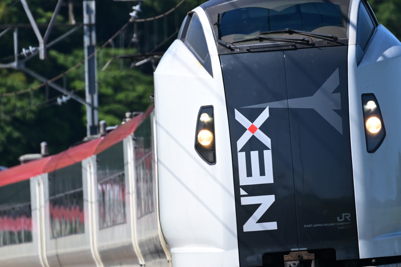 このような列車の顔アップ写真も意外と繊細なフレーミングが必要。259系成田エクスプレスの動きを見ながら、ギア雲台G4で高さを調整しつつ撮影した<br><span class="fnt-85">Nikon Z 8／NIKKOR Z 100-400mm f/4.5-5.6 VR S＋Z TELECONVERTER TC-1.4×／490mm／マニュアル露出（F8、1/1,000秒）／ISO 400／WB：晴天</span>