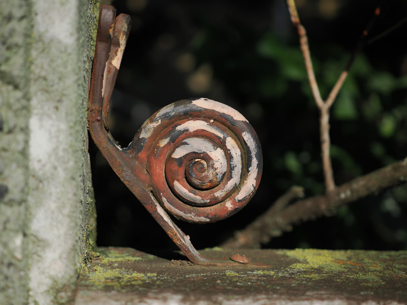 カタツムリも筆者は弱ぶくみですが、これなら大丈夫ということで撮影と。大口径レンズじゃないけど、ボケは大丈夫ですね。合焦点もクリアでシャープであります<br>OM-1／M.ZUIKO DIGITAL ED 30mm F3.5 Macro／プログラムAE（F3.5・1/4,000秒・-1.3EV）／ISO 200