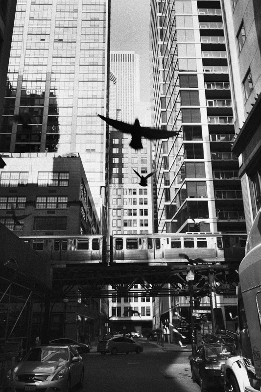 撮影：中藤毅彦<br><span class="fnt-85">LUMIX G9PROII／LEICA DG VARIO-SUMMILUX 10-25mm / F1.7 ASPH.／17mm（34mm相当）／絞り優先AE（1/200秒・F11・+0.3EV）／ISO 400</span>