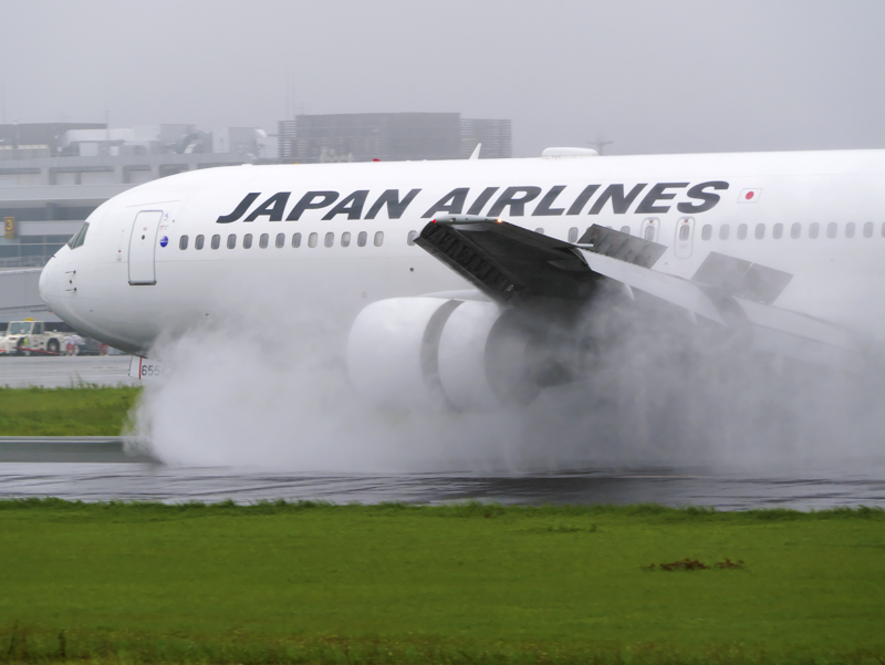 撮影：A☆50/Akira Igarashi<br><span class="fnt-85">LUMIX G9PROII／LEICA DG VARIO-ELMAR 100-400mm/F4.0-6.3 II ASPH./POWER O.I.S.／156mm（321mm相当）／マニュアル露出（1/640秒・F8.0）／ISO 400</span>