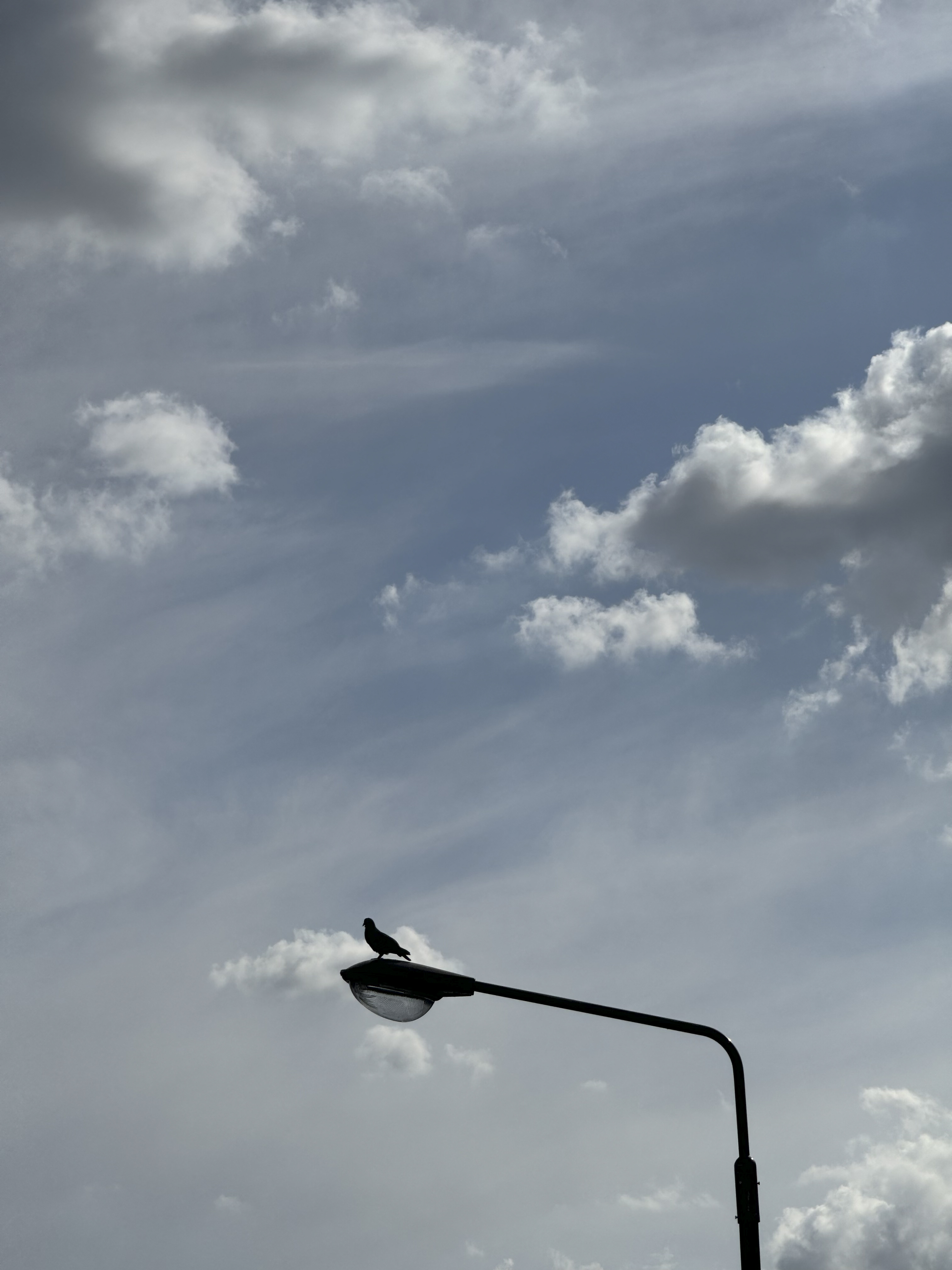 iPhone 15 Pro Max／15.66mm（120mm相当）／1/6,400秒／F2.8／ISO 32