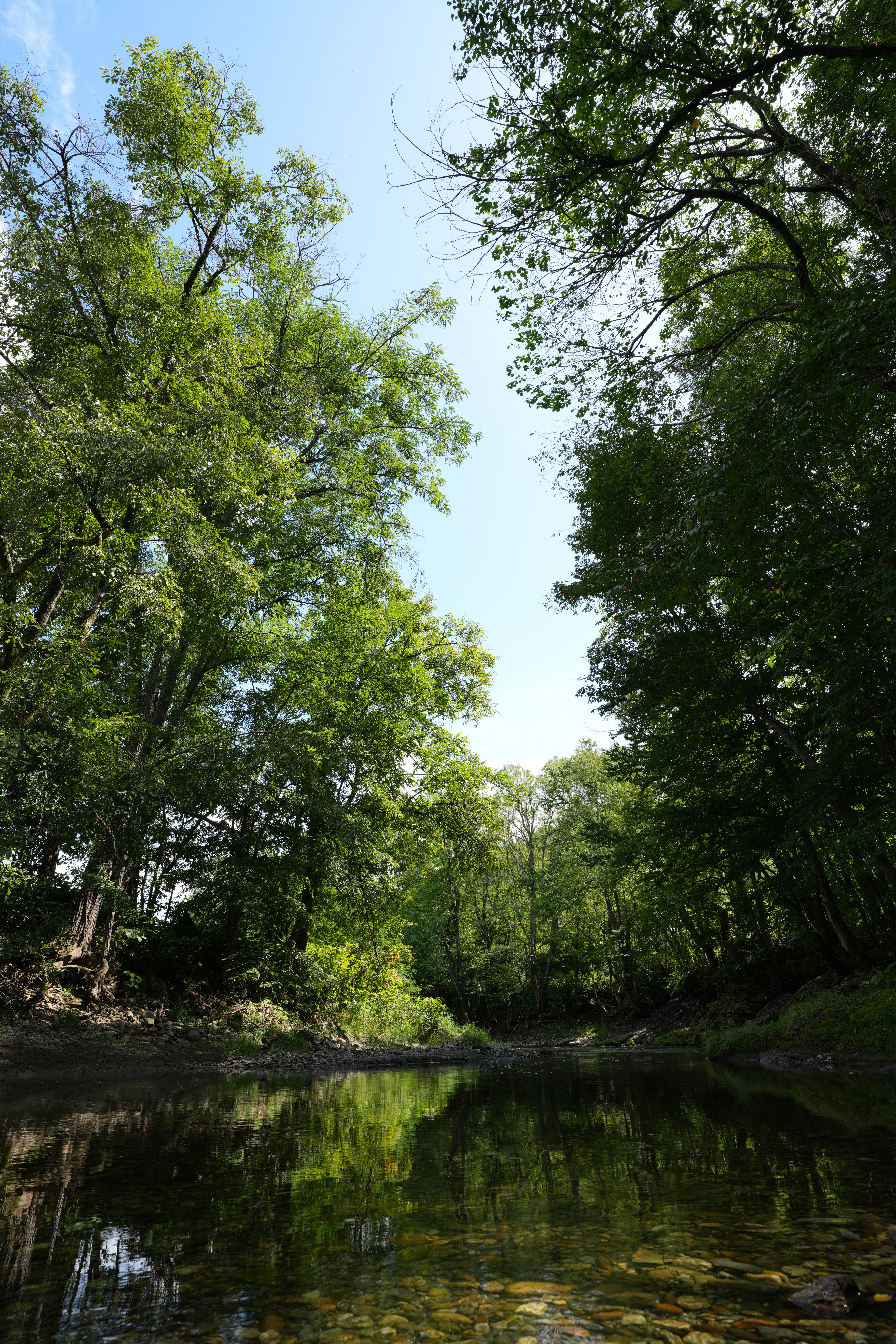 遠くの木々の小さな葉や細い枝もしっかり解像している。シャープは少し強めの印象。ハイライトの階調もしっかり粘ってくれている<br><span class="fnt-85">α7CR／FE 20mm F1.8 G／20mm／絞り優先AE（1/80秒・F8・+0.3EV）／ISO 100／WB：オート</span>