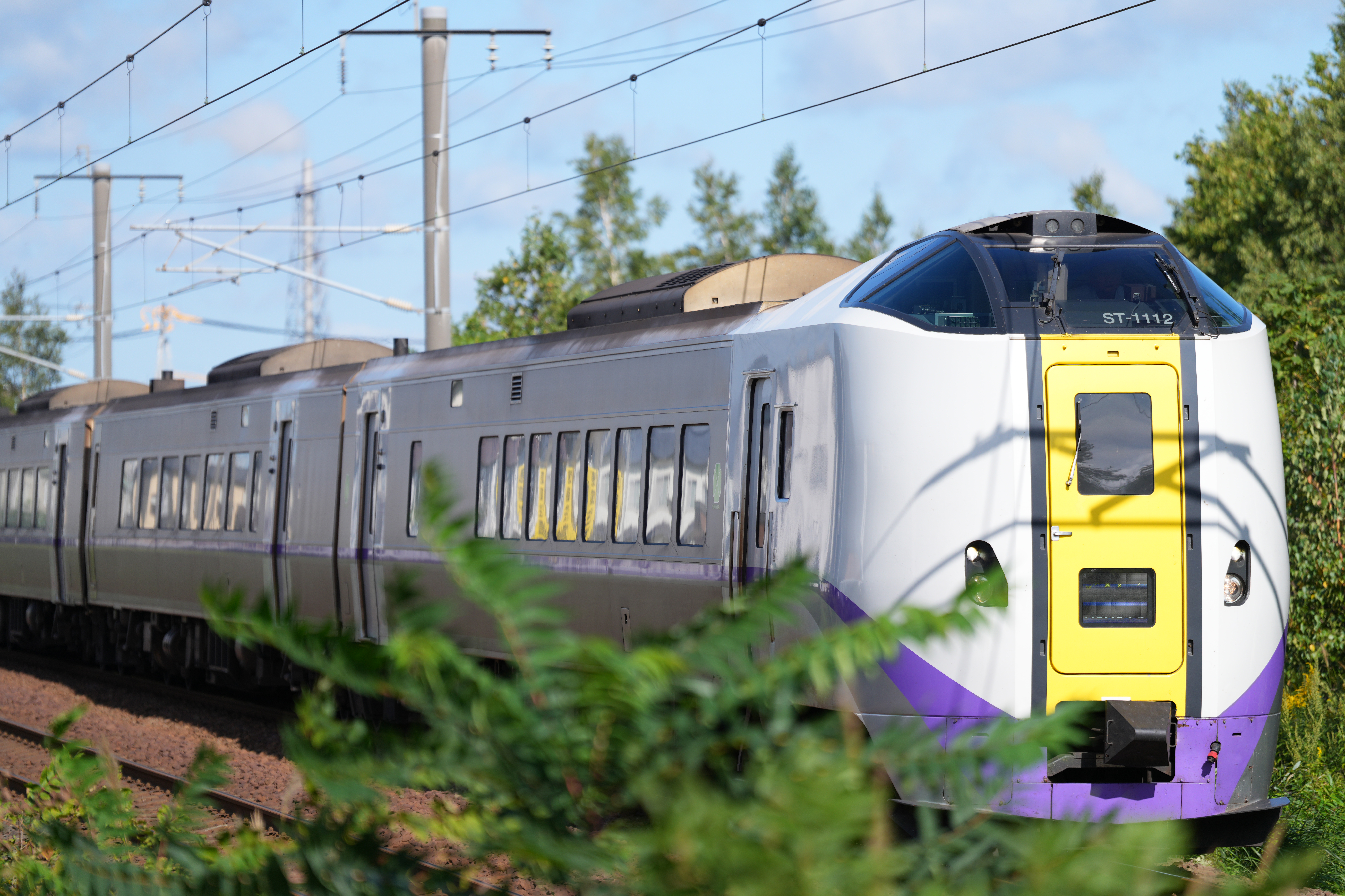 一度ピントが合ってしまえば手前に他の物体があってもしっかり掴み続けてくれる<br><span class="fnt-85">α7CR／FE 70-200mm F2.8 GM OSS II／20mm／絞り優先AE（1/1,600秒・F2.8・+0.3EV）／ISO 100／WB：オート</span>