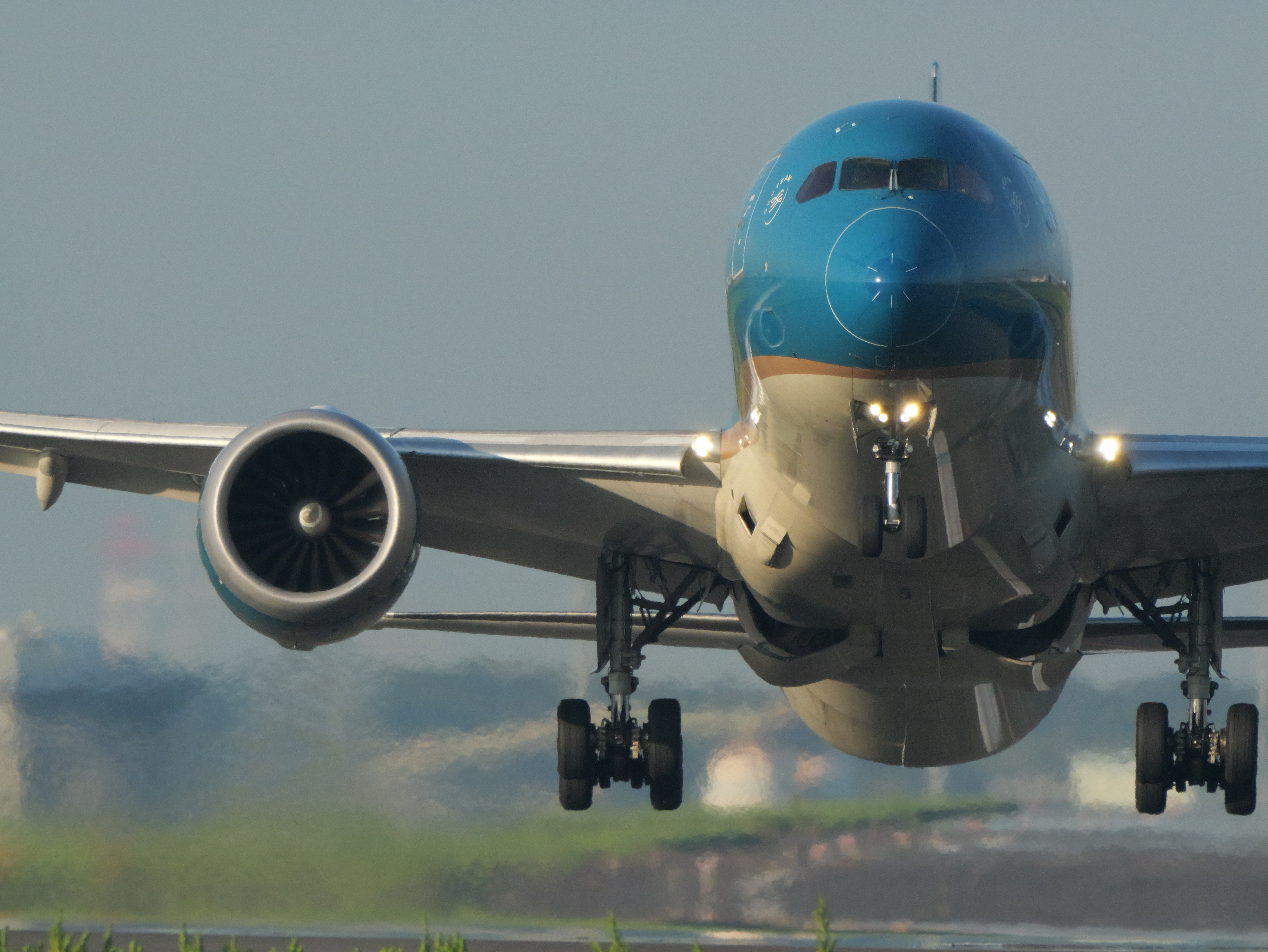 LUMIX G9PROII／LEICA DG VARIO-ELMAR 100-400mm / F4.0-6.3 II ASPH. / POWER O.I.S+TC2.0／400mm（1,600mm相当）／マニュアル露出（1/1,600秒、F13）／ISO 2500／WB：オート