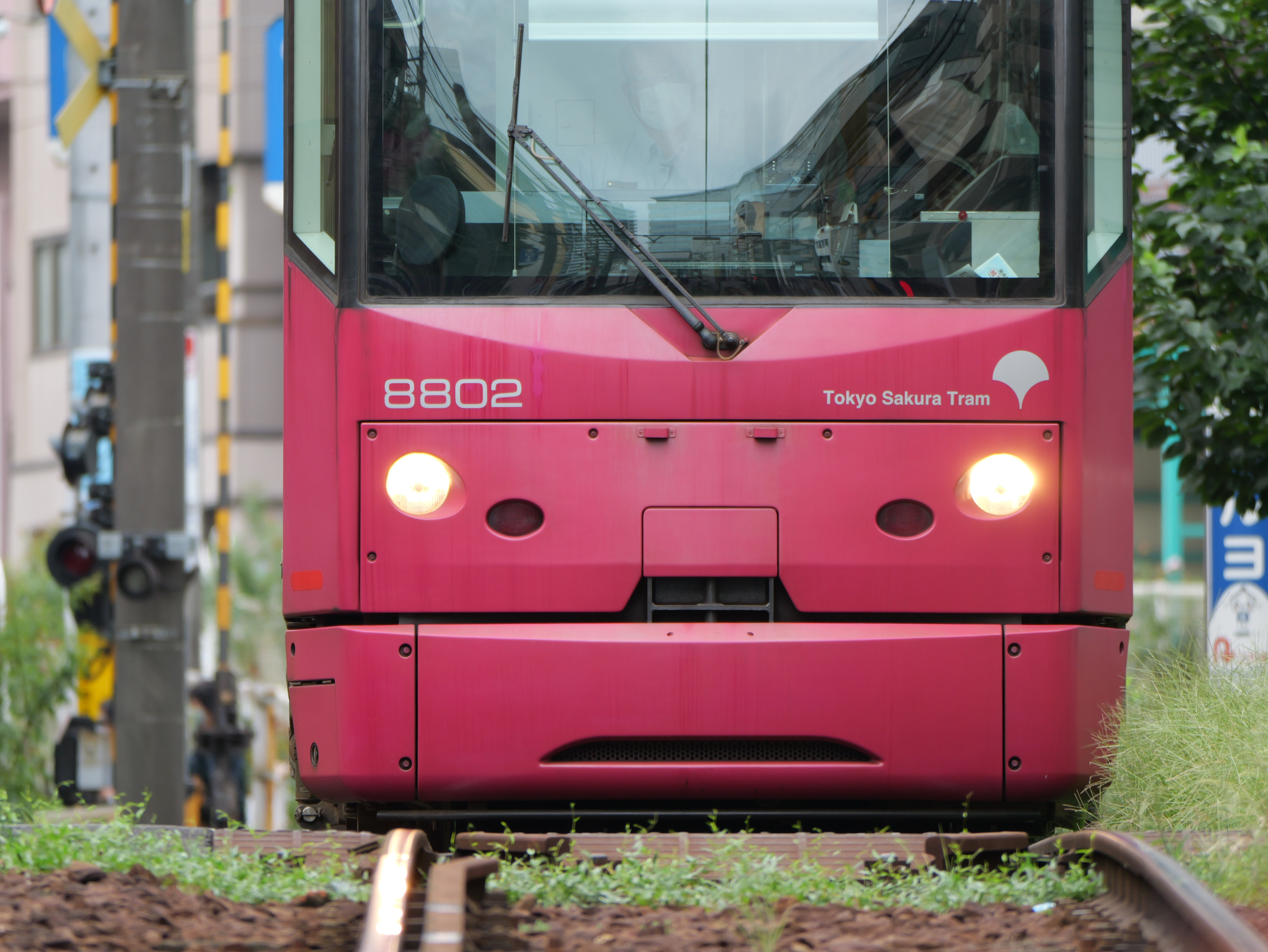 LUMIX G9PROII／LEICA DG VARIO-ELMAR 100-400mm / F4.0-6.3 II ASPH. / POWER O.I.S／400mm（800mm相当）／マニュアル露出（1/60秒、F6.3）／ISO 160／WB：オート