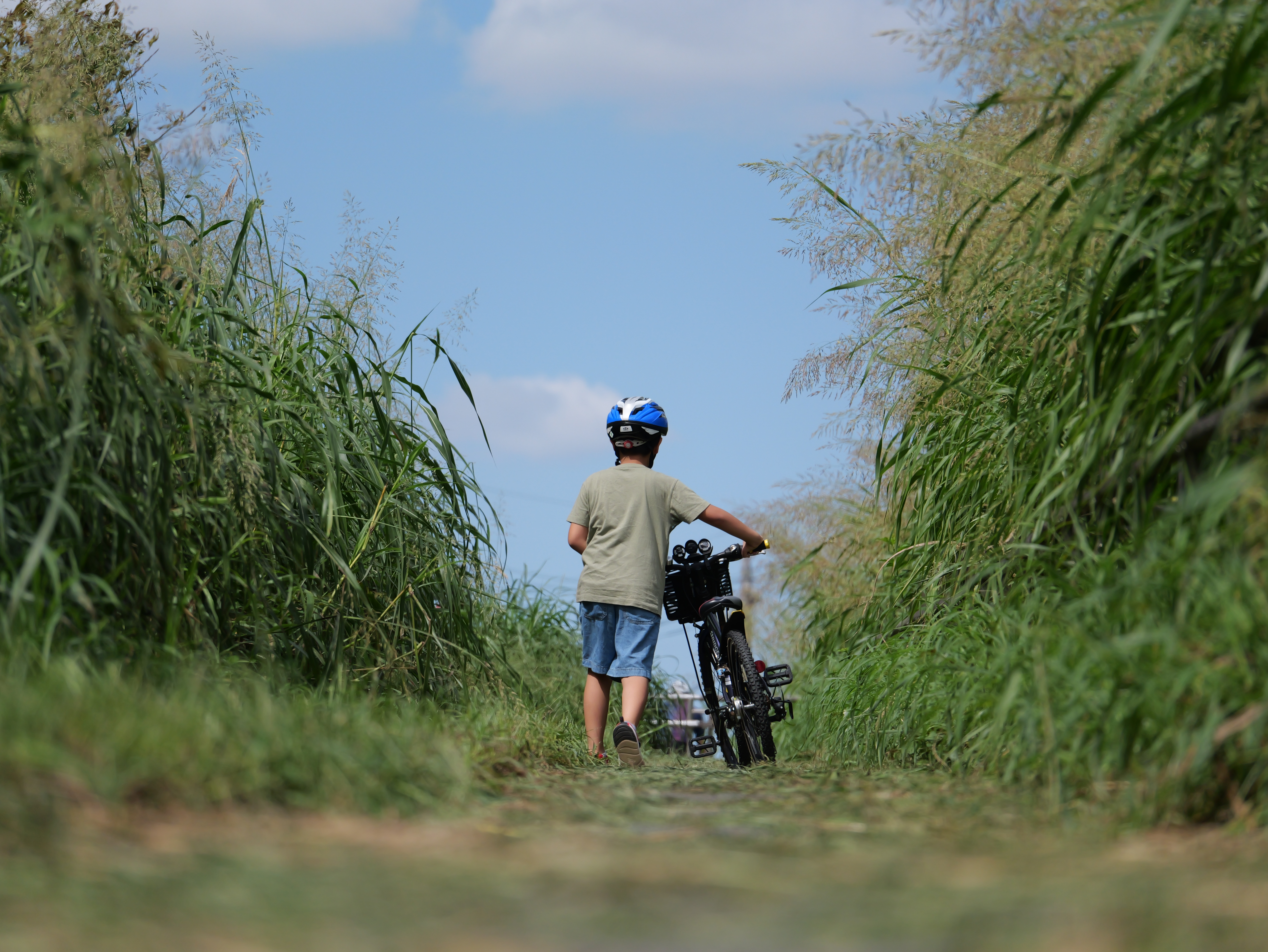 LUMIX G9PROII／LEICA DG VARIO-ELMARIT 35-100mm / F2.8 / POWER O.I.S.／100mm（200mm相当）／マニュアル露出（1/4,000秒、F2.8）／ISO 160／WB：オート
