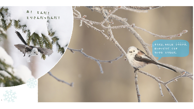 子どもにもわかりやすいように、写真とやさしい文章で構成。