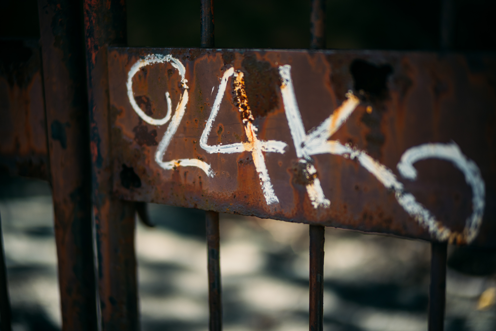 EOS R5／NOKTON 50mm F1 Aspherical／絞り優先AE（F1.1・1/3,200秒・-2/3EV）／ISO 100